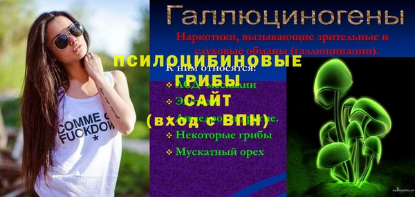 apvp Армянск